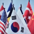 365국제특허법률사무소