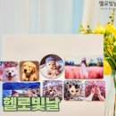 헬로빛날 이미지