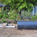 블루베리 심는 방법 이미지