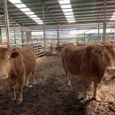 진성2농장 이미지