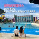 골프플래닛 | 필리핀 최대 워터파크 아쿠아 플래닛 (입장료·후기). 클락 아쿠아 플래닛, 요즘 놀기 딱 좋은 이유