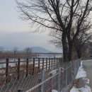 신매2리 이미지