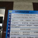 동백자연에너지 | 동백요가원 이지요가 오후 아쉬탕가 마이솔 &amp; 하타 인텐시브 후기, 용인요가원 중에서도 꾸준한 이유