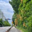 공원로352번길 이미지