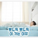뽀드득치과의원 네이버블로그