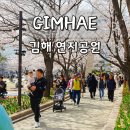 금관대로1368번길L | 김해 연지공원 꽃구경 벚꽃 튤립 실시간 주차장 꿀팁