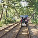 (11월) 거제도 가을여행...둘째 날 3 이미지