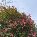 관광포토존 이미지