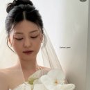 웨딩촬영 단하루 헤어변형 가을쌤 후기♥♥