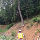 민이네농장 이미지