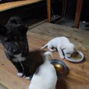 당골농장 이미지