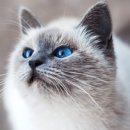 퓨처메이커 이미지