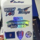 버드코리아 | 💙 [개봉기] 2026 수원삼성 시즌권 언박싱: 이정효 호와 함께할 빅버드 '내 집 마련' 완료!