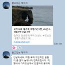 코지의사진과여행