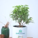 수석 공인중개사사무소 이미지