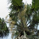 연동공원 이미지