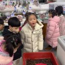 농협 &amp; 하나로마트에 다녀왔어요 ❣️ 이미지