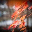 산과 자연의 쉼터 이미지