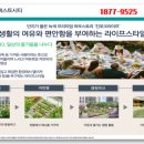퍼스트파크골프 이미지