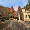 비석골화장실 이미지