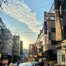 [수원 인계동/고깃집] &#39;조선부뚜막 인계점&#39; 솥뚜껑 미나리삼겹살 또또또간 맛집 후기