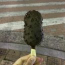오드리호프 | 도와줘요 롹앤롤 !