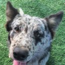 십이령농원 이미지