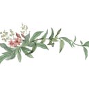 일미참치앤스시 이미지