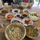 송전보리밥 이미지