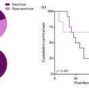 에스벳 동물병원 이미지