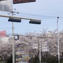 꽃댕기미용실 - 동구 | 꽃댕기미용실
