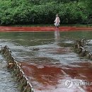 순환동로 이미지