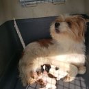 성산마을회관 이미지