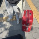 신정로203번길L | 스페인 여행 1일차)에어차이나 후기/수하물 지연/말톡 이심 잠김/호텔 메디오디아 후기