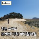 세대공감바다음악제 | 소야도 트레킹 여행 모세의 기적 바다갈라짐 갓섬 인천섬 추천