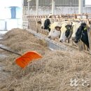 요동목장 이미지