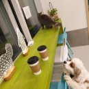 길순농장 이미지