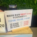 낭만 바다 | 여수 바다 위 감성 충전! 낭만바다요트 타고 온 후기