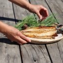 평창흔들바위 이미지