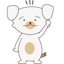 꼬꼬스토리 이미지