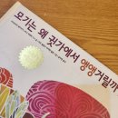 상상하는 삐삐 이미지