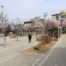 소사역 7번출구 이미지