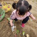 숲깊은 농장 이미지