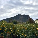 해안농장 이미지