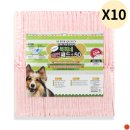 (주)코리아독스 이미지