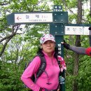 ​청화산(靑華山)970m 충북.괴산 이미지