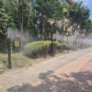 그늘막54 이미지