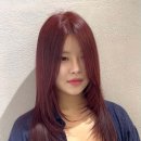 데이지엘헤어 과천점 이미지