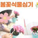 과천토리유치원