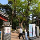 선비마을건강나라 | 2026영주 한국선비문화축제 무료입장 선비촌 소수서원 5월 축제